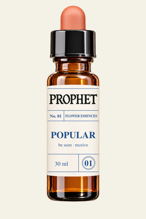 Popular — Prophet flower essence, 30 ml